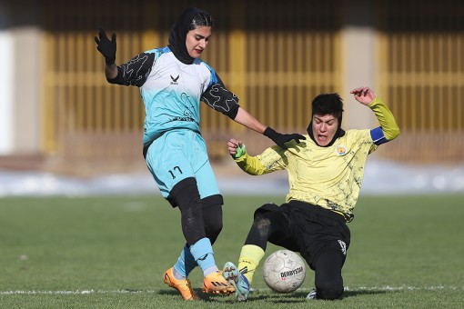 طلایی طاران البرز - پالایش ایلام