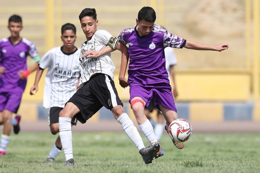 شاهین متحد - داوین