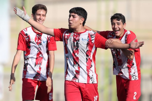 رایکا پارس - پویان