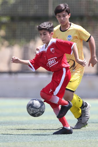 سیمرغ جوان - حامی