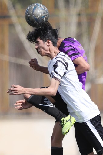 آریا سپهر مهرآباد - سرداران