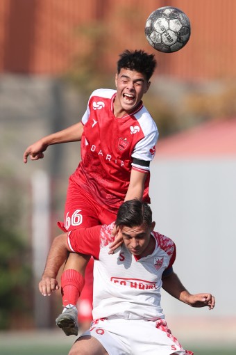پرسپولیس - حامی